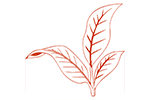 Plant icon